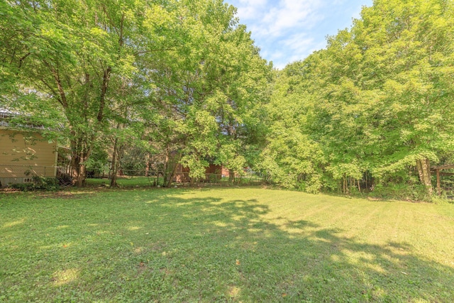 4907 Mccallie Ave, Apison, TN 37302 - view of yard