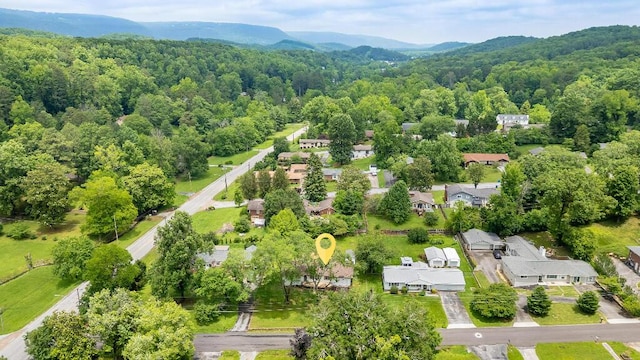 3 Abelia Ln, Chattanooga, TN 37415 - photo 11