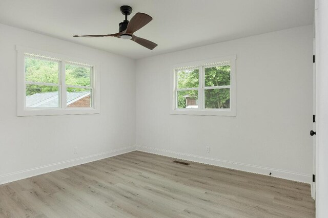 3 Abelia Ln, Chattanooga, TN 37415 - photo 28