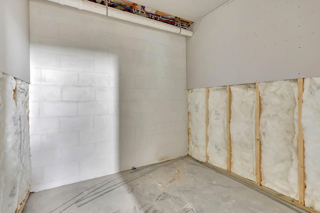 10907 Dolly Pond Rd, Ooltewah, TN 37363 - unfinished below grade area with concrete block wall