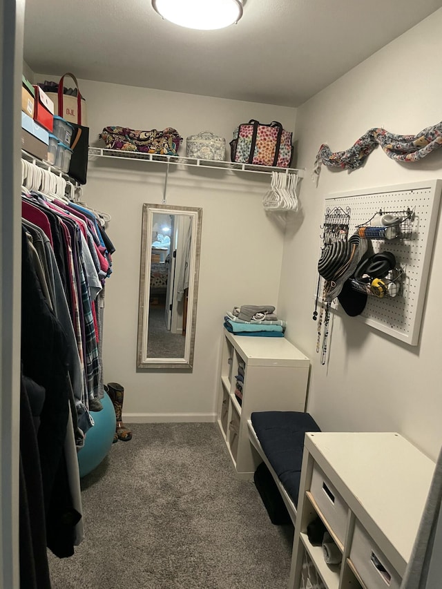 610 Hickory Ridge Trl, Ringgold, GA 30736 - spacious closet featuring carpet flooring