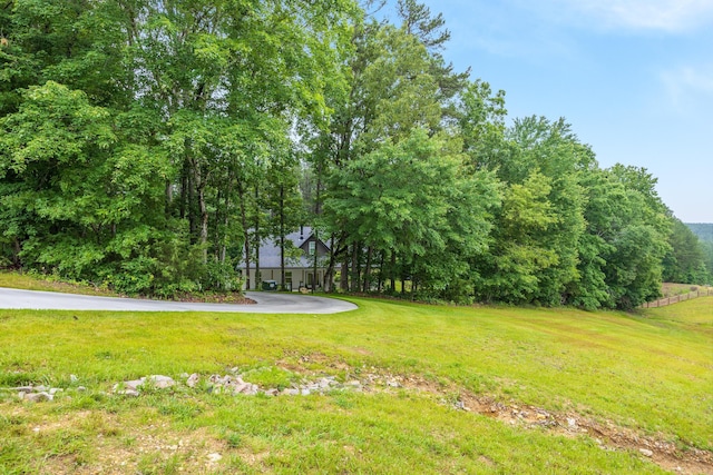 8331 Troubadour Way, Ooltewah, TN 37363 - view of grassy yard