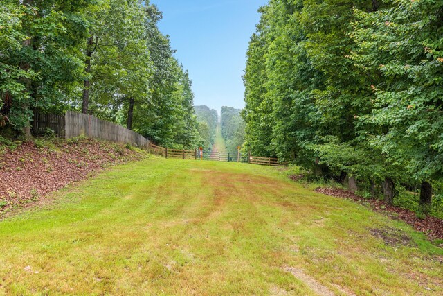 8331 Troubadour Way, Ooltewah, TN 37363 - view of yard