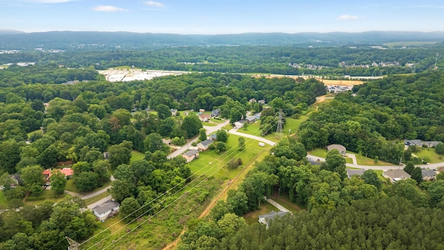 8331 Troubadour Way, Ooltewah, TN 37363 - bird's eye view of a forest
