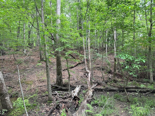 LOT72 Water View Ln Unit 72, Monteagle, TN 37356