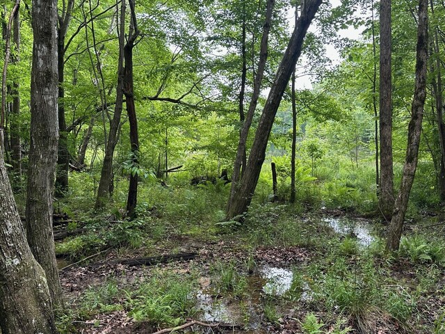LOT72 Water View Ln Unit 72, Monteagle, TN 37356