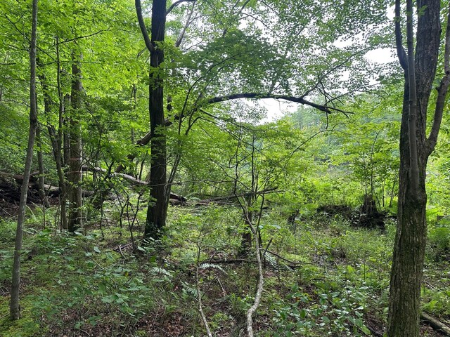 LOT72 Water View Ln Unit 72, Monteagle, TN 37356