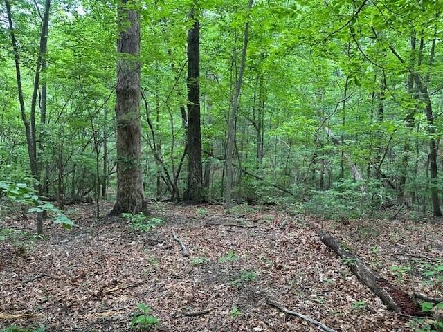 LOT72 Water View Ln Unit 72, Monteagle, TN 37356