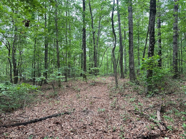 LOT72 Water View Ln Unit 72, Monteagle, TN 37356