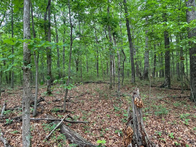 LOT72 Water View Ln Unit 72, Monteagle, TN 37356