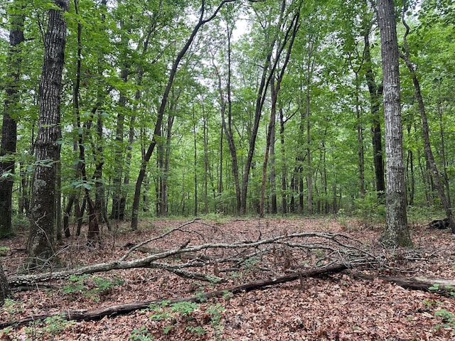 LOT72 Water View Ln Unit 72, Monteagle, TN 37356