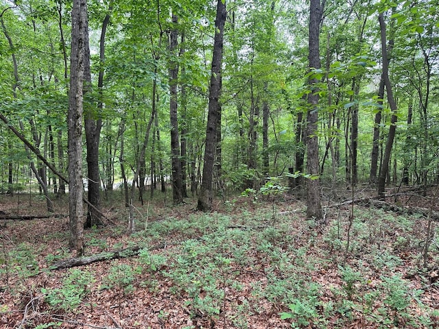 LOT72 Water View Ln Unit 72, Monteagle, TN 37356