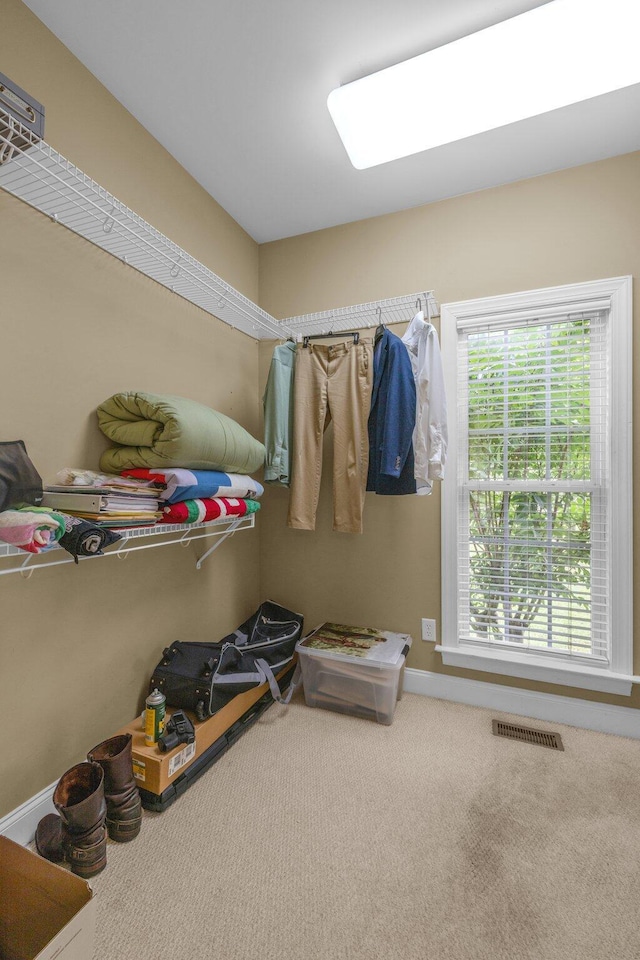 57 Clear Springs Dr, Ringgold, GA 30736 - spacious closet featuring carpet