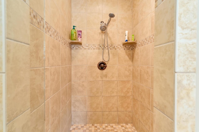 3429 Willow Lake Cir, Chattanooga, TN 37419 - bathroom with a tile shower
