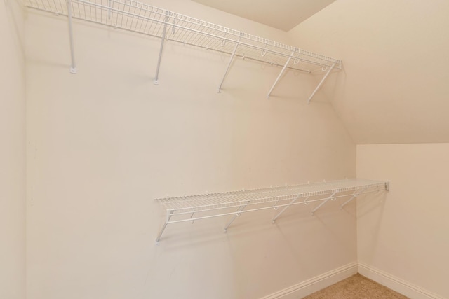 3429 Willow Lake Cir, Chattanooga, TN 37419 - spacious closet with light carpet