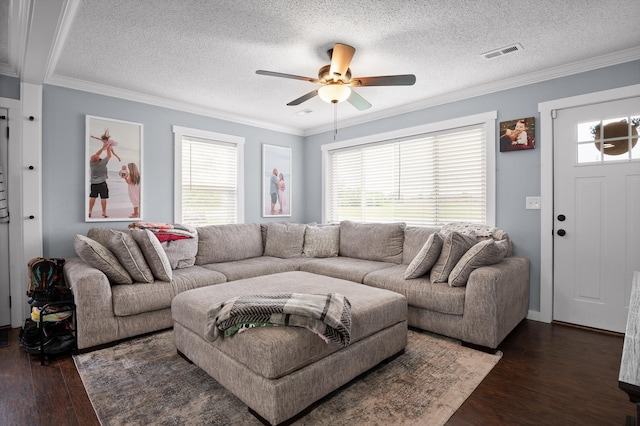 142 Jones Dr, Dunlap, TN 37327 - living area featuring dark wood-type flooring, a ceiling fan, crown molding, and a textured ceiling