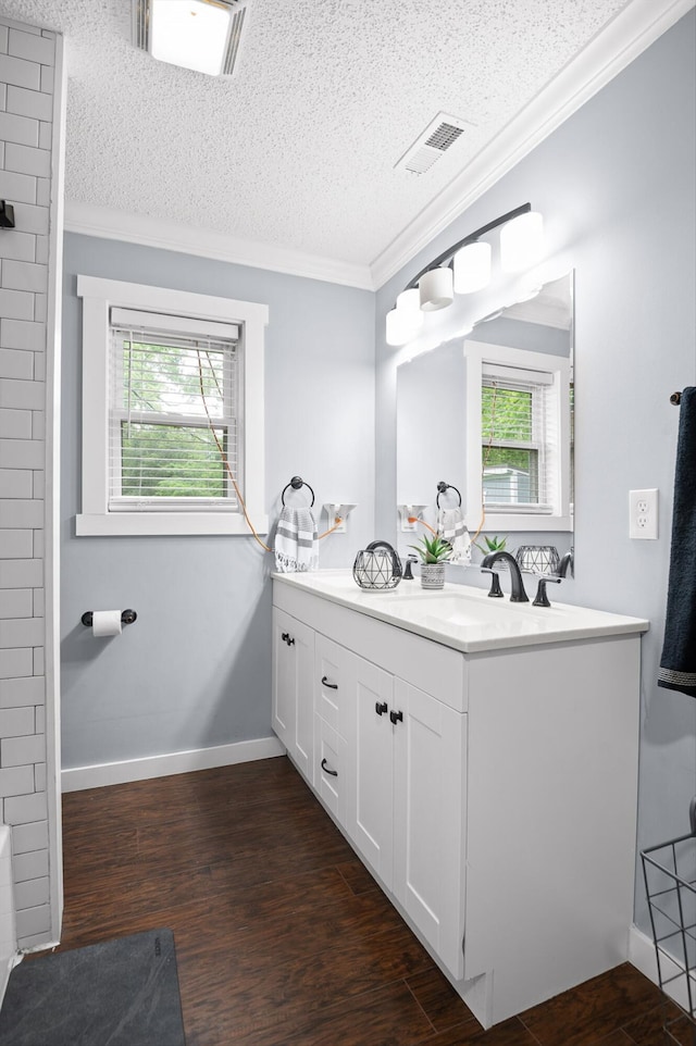 142 Jones Dr, Dunlap, TN 37327 - bathroom featuring crown molding, vanity, healthy amount of natural light, a textured ceiling, and wood finished floors