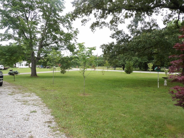 634 Bellvue Cir, Spencer, TN 38585 - view of green lawn