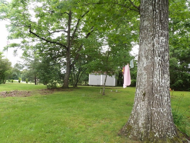 634 Bellvue Cir, Spencer, TN 38585 - view of grassy yard