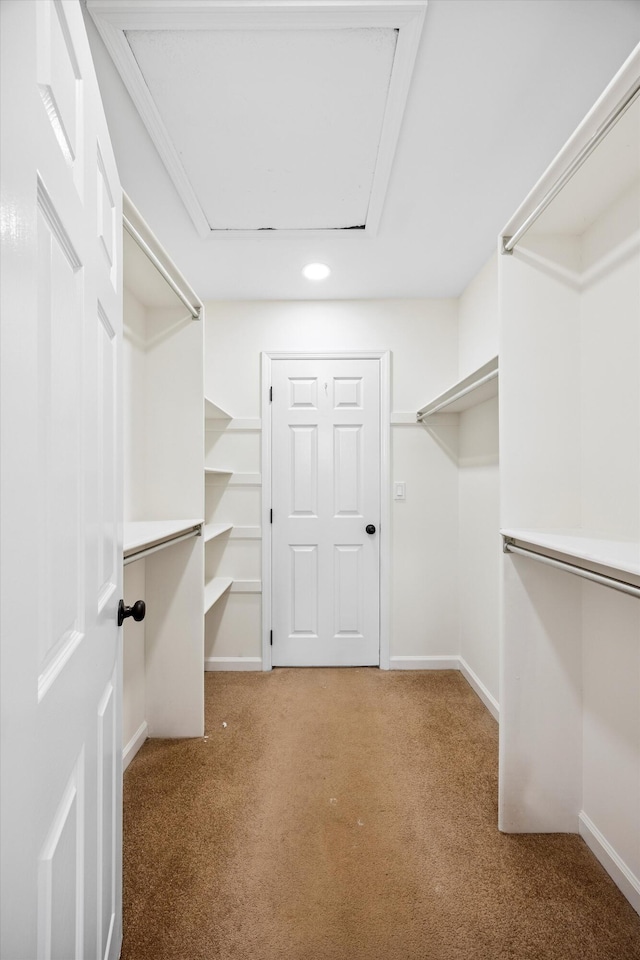 2138 Vaden Village Dr, Chattanooga, TN 37421 - spacious closet with carpet flooring