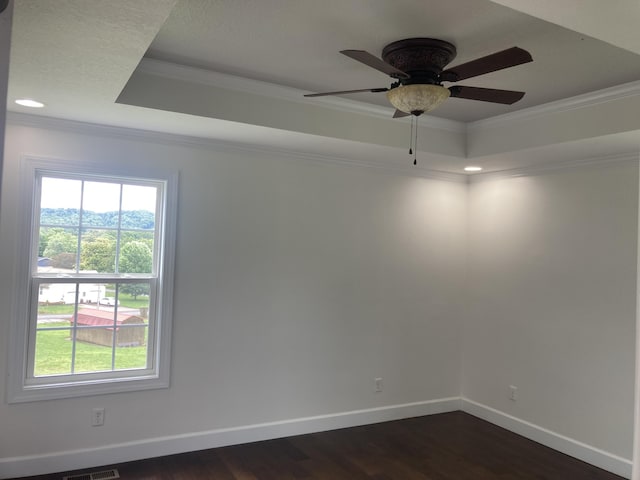135 Joseph Daniel Ln, Jasper, TN 37347 - spare room featuring a tray ceiling, healthy amount of natural light, crown molding, dark wood-type flooring, and recessed lighting