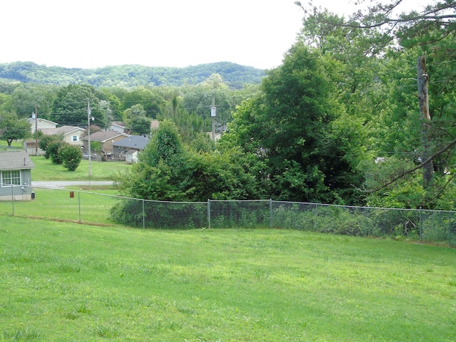 135 Joseph Daniel Ln, Jasper, TN 37347 - view of yard