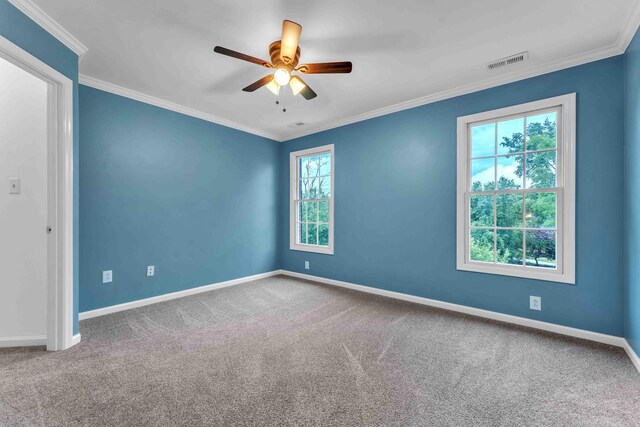 4155 Freewill Rd NW, Cleveland, TN 37312 - unfurnished room featuring ceiling fan, healthy amount of natural light, carpet, baseboards, and ornamental molding