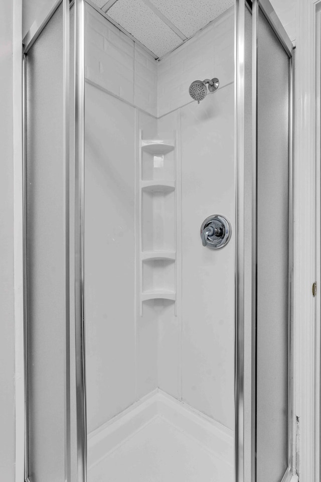 4155 Freewill Rd NW, Cleveland, TN 37312 - full bathroom with a stall shower and a drop ceiling