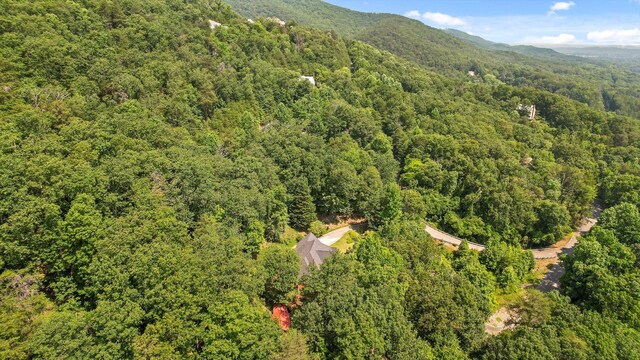 2001 Eagle Point Dr, Dalton, GA 30720 - photo 56
