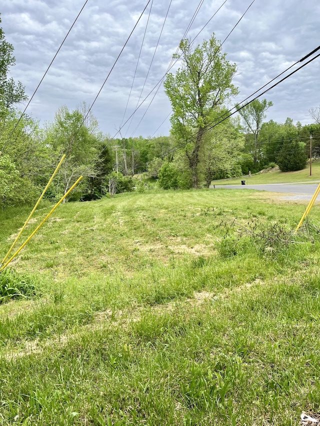 1615 Old York Hwy E, Dunlap, TN 37327 - photo 8
