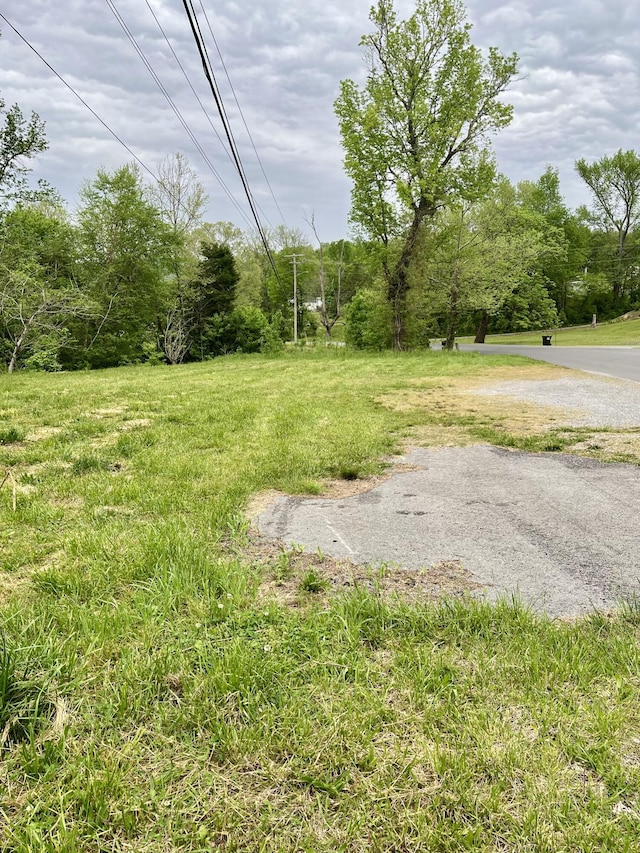 1615 Old York Hwy E, Dunlap, TN 37327 - photo 9