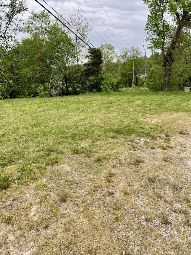1615 Old York Hwy E, Dunlap, TN 37327 - photo 10