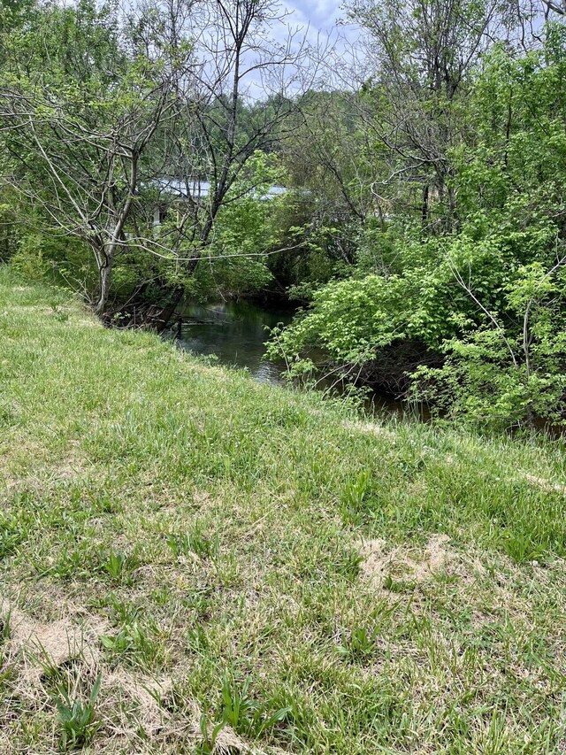 1615 Old York Hwy E, Dunlap, TN 37327 - photo 3