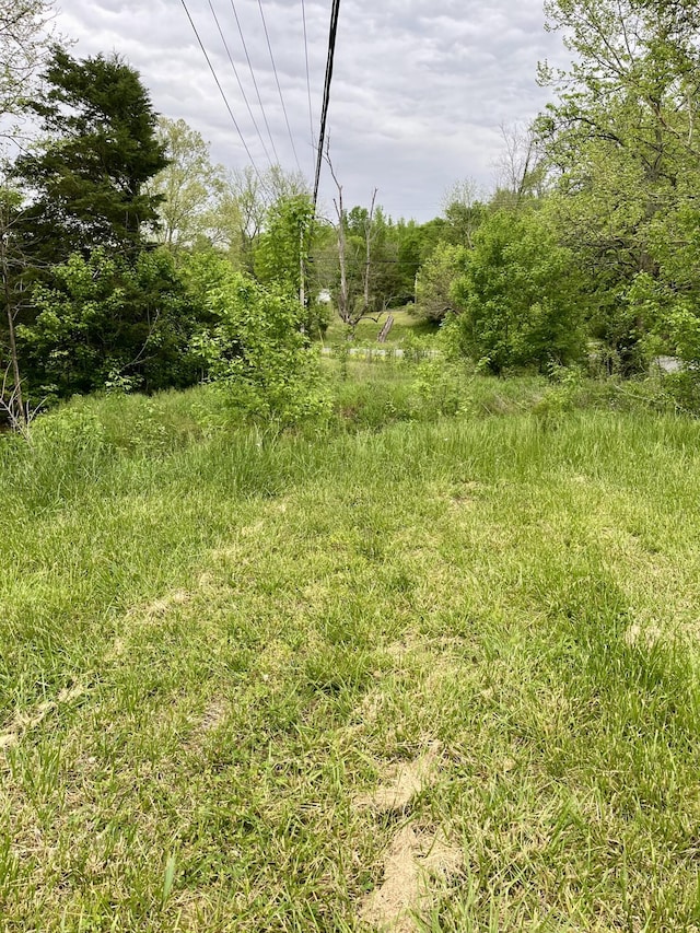 1615 Old York Hwy E, Dunlap, TN 37327 - photo 11