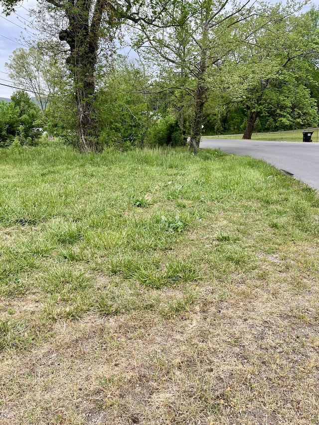1615 Old York Hwy E, Dunlap, TN 37327 - photo 12