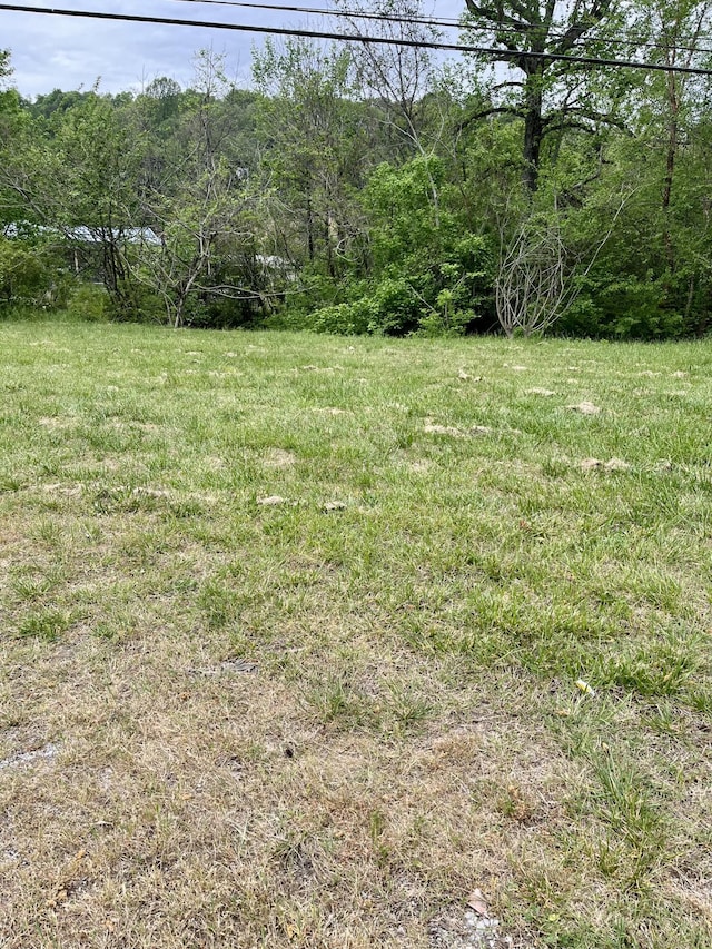 1615 Old York Hwy E, Dunlap, TN 37327 - photo 4