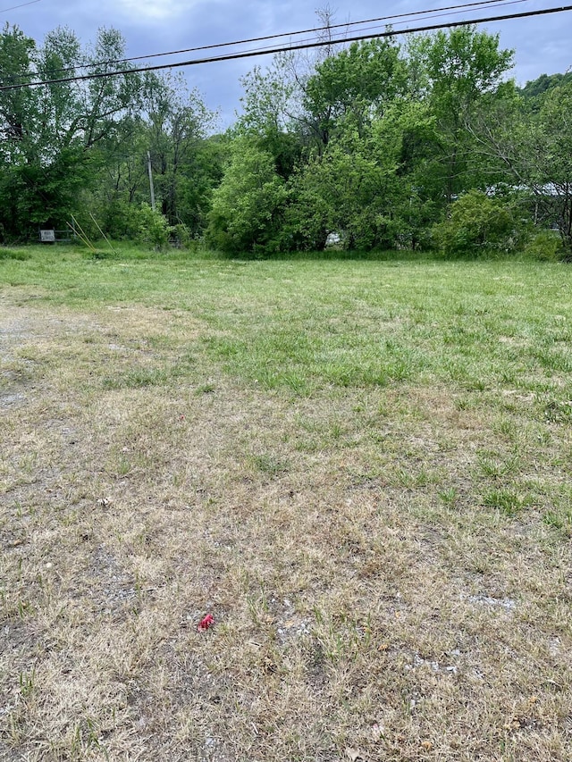 1615 Old York Hwy E, Dunlap, TN 37327 - photo 6