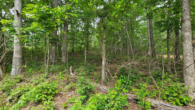 00 Ashford Dr, Crossville, TN 38572 - photo 6