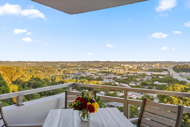 1131 Stringers Ridge Rd Unit 12E, Chattanooga, TN 37405 - view of balcony