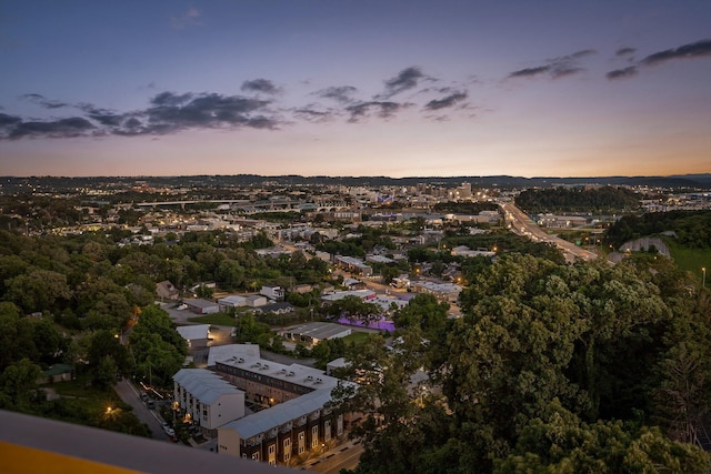 1131 Stringers Ridge Rd Unit 12E, Chattanooga, TN 37405 - view of aerial view at dusk