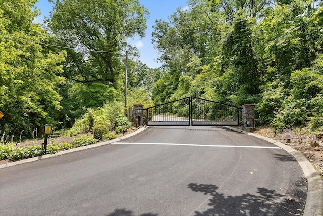 1131 Stringers Ridge Rd Unit 12B, Chattanooga, TN 37405 - view of asphalt street with a gate, curbs, and a gated entry