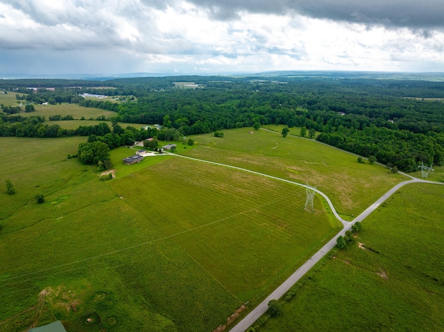 265 Peace View Ln, Dayton, TN 37321 - photo 9