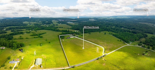 265 Peace View Ln, Dayton, TN 37321 - photo 17