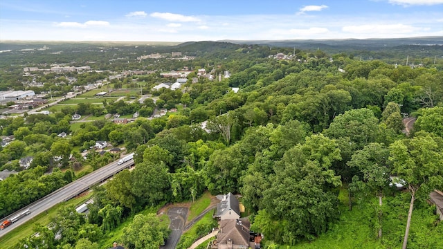 1714 S Crest Manor Ln, Chattanooga, TN 37404 - bird's eye view