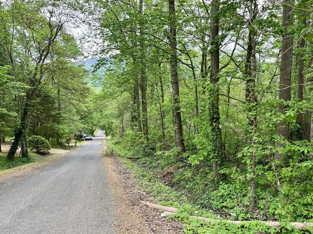 LOT21 Omega Dr, Whitwell, TN 37397 - photo 1