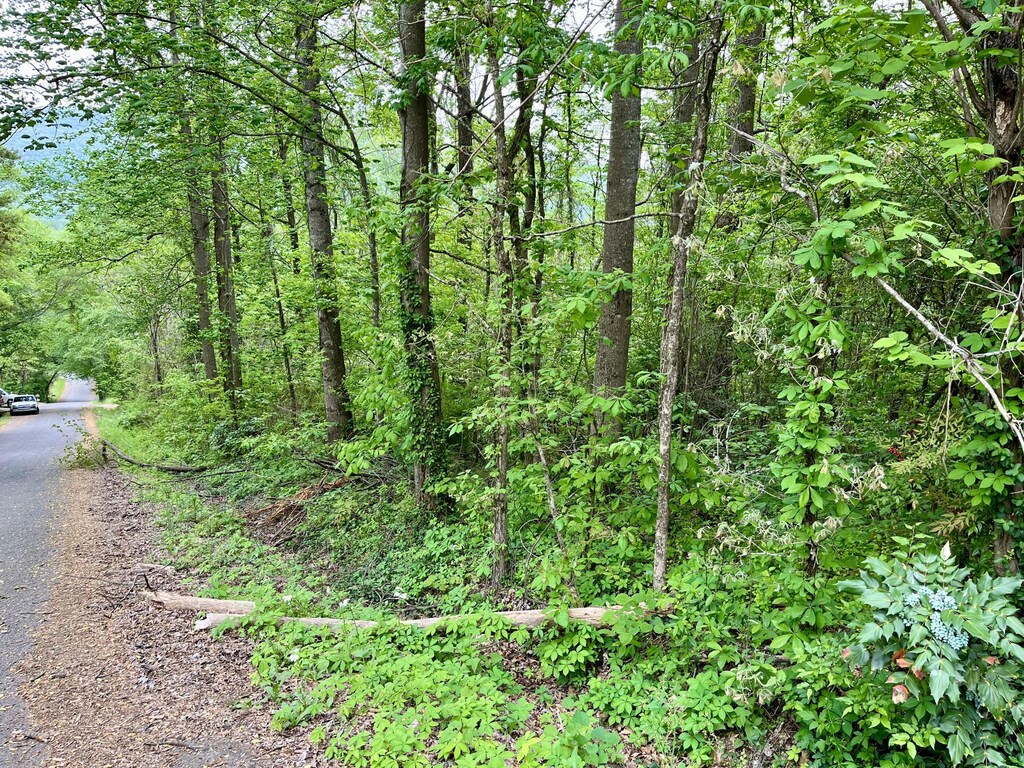 LOT21 Omega Dr, Whitwell, TN 37397 - photo 4