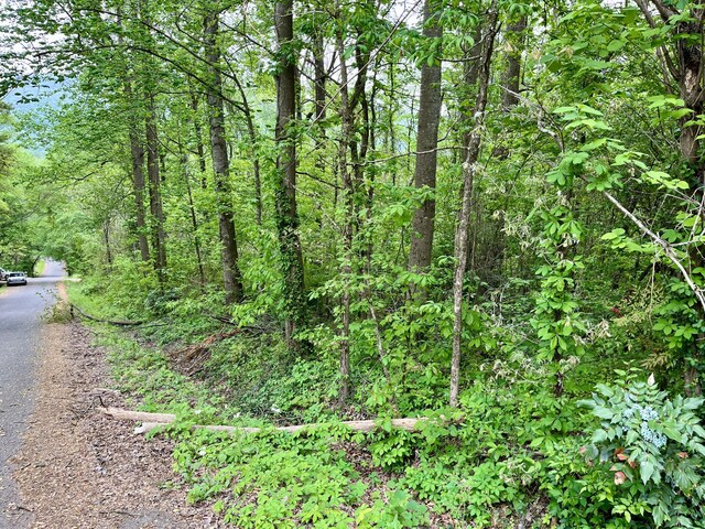 LOT21 Omega Dr, Whitwell, TN 37397 - photo 4