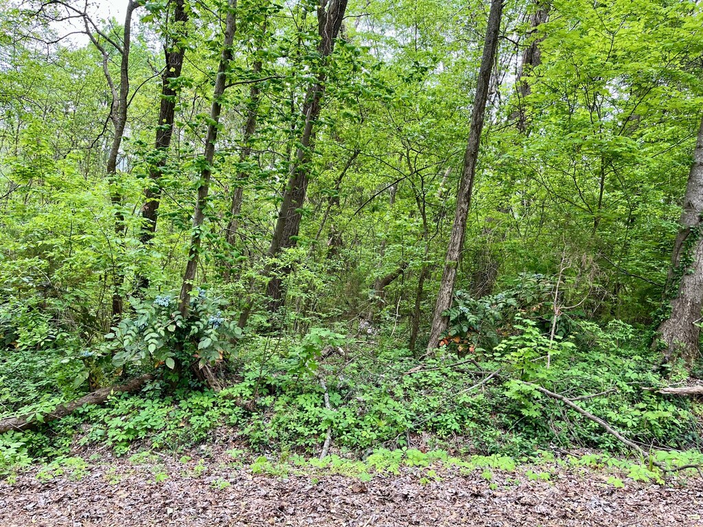 LOT21 Omega Dr, Whitwell, TN 37397 - photo 2