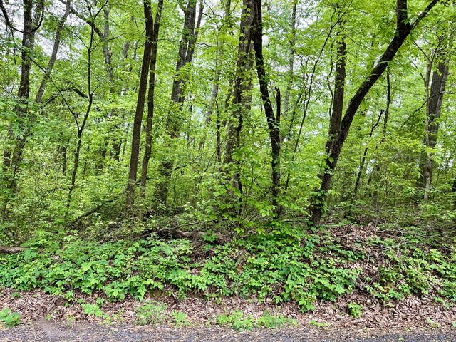 LOT21 Omega Dr, Whitwell, TN 37397 - photo 3