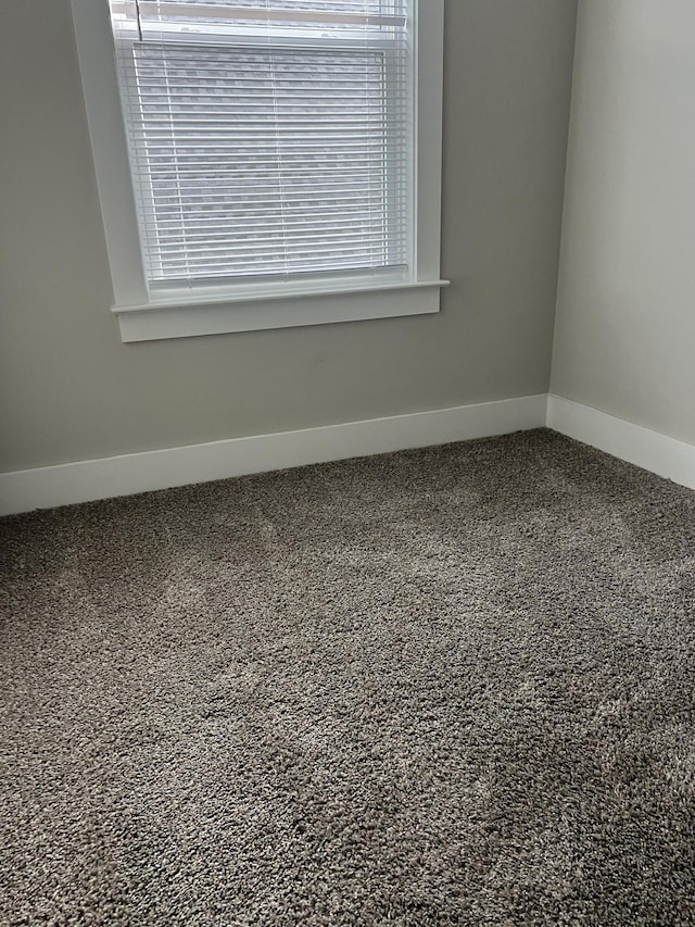 549 Willow Grv Ct Unit 69, Ringgold, GA 30736 - carpeted spare room with baseboards and healthy amount of natural light